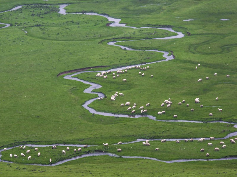 Karadeniz'in incisi: Ordu