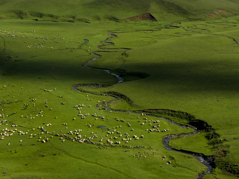 Karadeniz'in incisi: Ordu