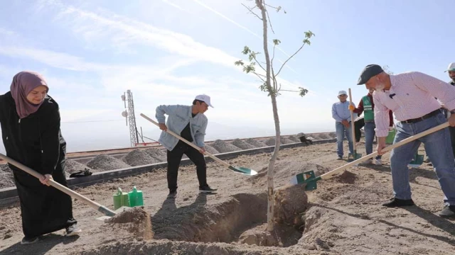 100, Yılda 100 gençle 100 ağaç