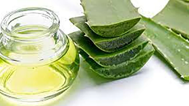 Aloe vera bitkisinin mucizeleri