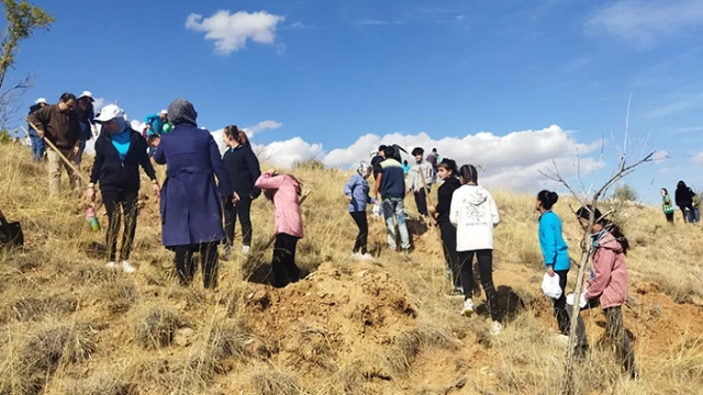 Kentin Dört Bir Yanını Yeşil Ağlarla Örüyor