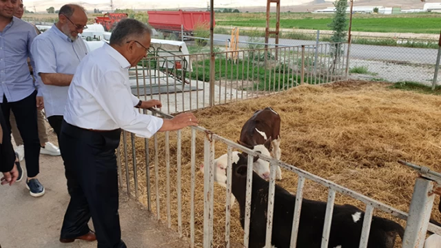 Büyükşehir'den Tarım ve Hayvancılığa büyük yatırım