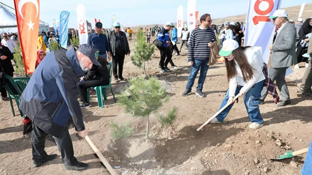 Yamula Yemyeşil olacak!