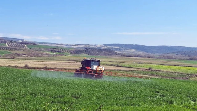 Bursa Mudanya’da süneyle kimyasal mücadele başladı