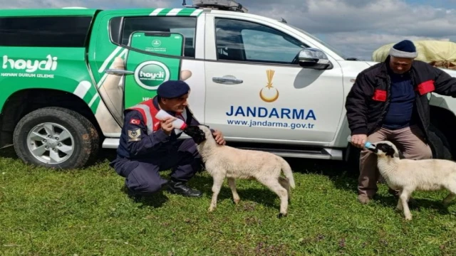 Edirne Jandarması’ndan hayvan sağlığı bilgilendirmesi