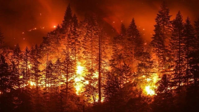 Bursa İtfaiyesi’nden orman yangınlara karşı duyarlılık çağrısı