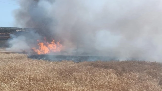 Enez’de buğday tarlasında yangın!