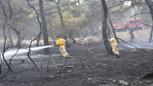 Manisa İtfaiyesi’nin yangın mücadelesi sürüyor