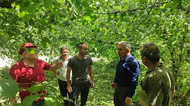 Son zamanlarda yüksek seyreden hava sıcaklığında yaşanan ani düşüş ve beraberinde gelen rüzgarlı ve yağışlı hava, bir çok bölgede olduğu gibi Kandıra’da etkisini gösterdi