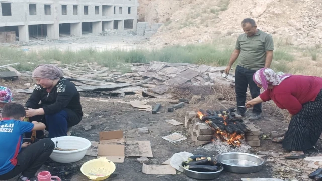 Mardin’de ‘babaganuç’ mesaisi başladı